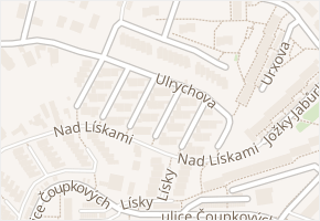 Ulrychova v obci Brno - mapa ulice