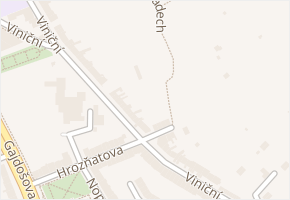 Viniční v obci Brno - mapa ulice