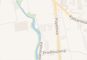 Widmannova v obci Brno - mapa ulice