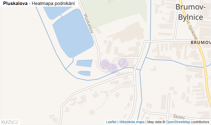 Mapa Pluskalova - Firmy v ulici.