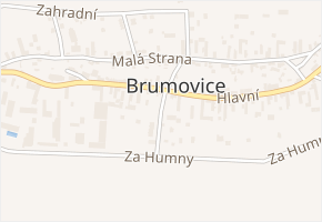 Družstevní v obci Brumovice - mapa ulice