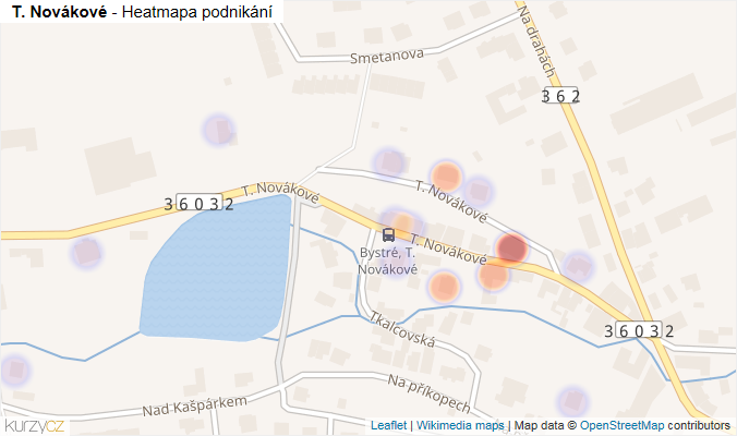Mapa T. Novákové - Firmy v ulici.