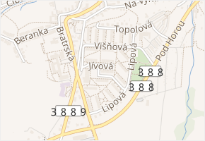 Jívová v obci Bystřice nad Pernštejnem - mapa ulice