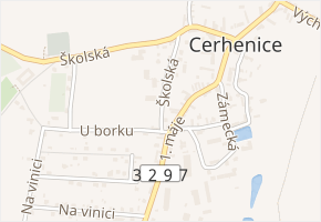 U borku v obci Cerhenice - mapa ulice