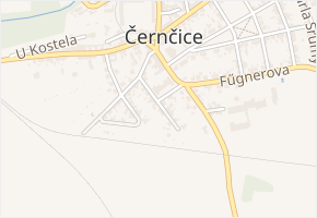 Vrchlického v obci Černčice - mapa ulice
