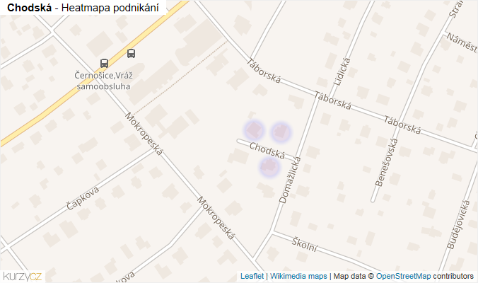 Mapa Chodská - Firmy v ulici.