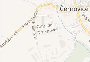Družstevní v obci Černovice - mapa ulice