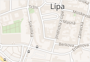 Prokopa Holého v obci Česká Lípa - mapa ulice