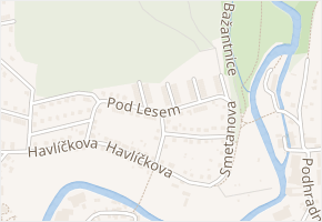 Pod lesem v obci Česká Skalice - mapa ulice