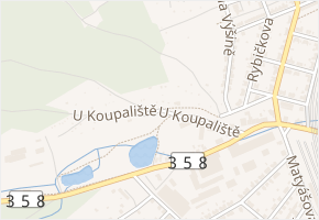 U Koupaliště v obci Česká Třebová - mapa ulice