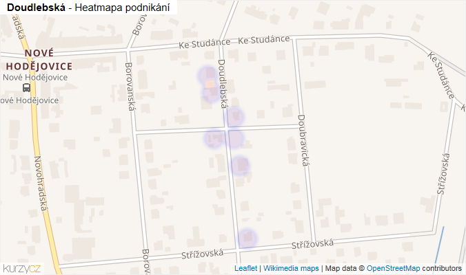 Mapa Doudlebská - Firmy v ulici.