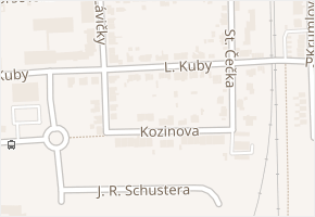 L. Kuby v obci České Budějovice - mapa ulice