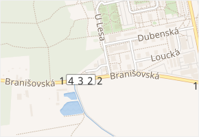 U Boru v obci České Budějovice - mapa ulice