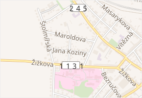 Jana Koziny v obci Český Brod - mapa ulice