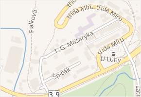 T. G. Masaryka v obci Český Krumlov - mapa ulice