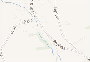 Ropická v obci Český Těšín - mapa ulice