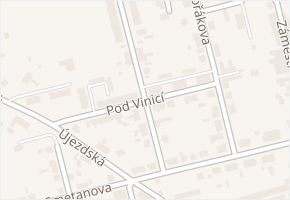 Pod Vinicí v obci Choceň - mapa ulice
