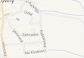 Kaštanová v obci Chotoviny - mapa ulice