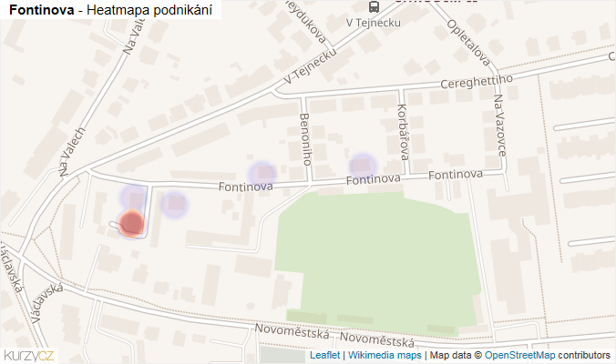 Mapa Fontinova - Firmy v ulici.