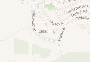 Lesní v obci Chvaletice - mapa ulice