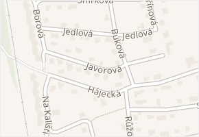 Javorová v obci Chýně - mapa ulice