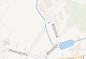 Pod Zeleným vrchem v obci Cvikov - mapa ulice