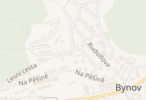 Na Vyhlídce v obci Děčín - mapa ulice