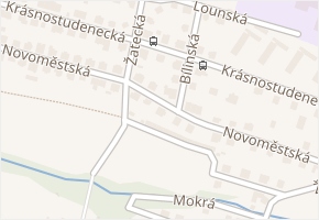 Novoměstská v obci Děčín - mapa ulice