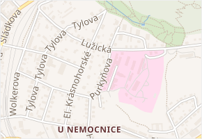 Purkyňova v obci Děčín - mapa ulice