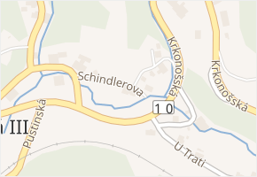 Schindlerova v obci Desná - mapa ulice