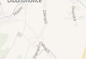 Zákopčí v obci Dlouhoňovice - mapa ulice