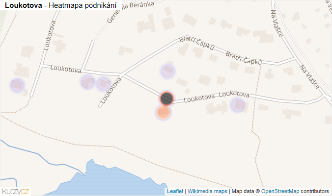 Mapa Loukotova - Firmy v ulici.