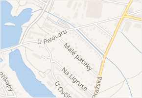 Malé paseky v obci Dobříš - mapa ulice