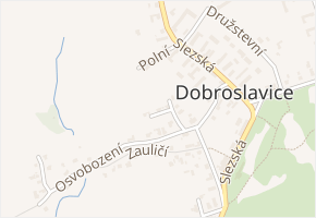 Pod Školou v obci Dobroslavice - mapa ulice