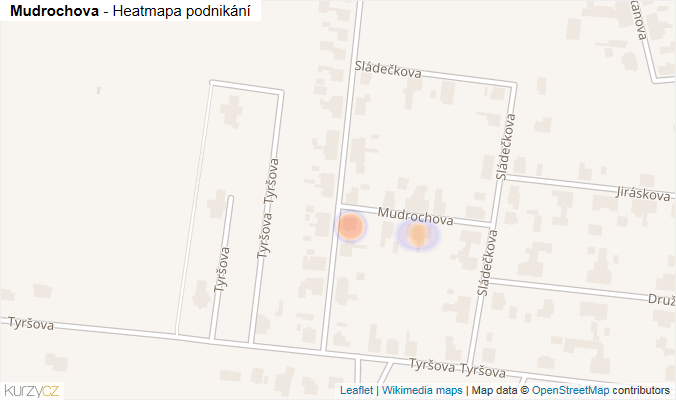 Mapa Mudrochova - Firmy v ulici.