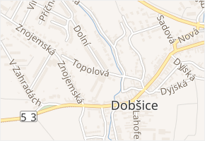 Topolová v obci Dobšice - mapa ulice