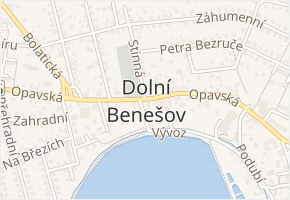 Dolní Benešov v obci Dolní Benešov - mapa části obce