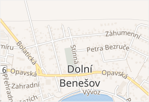 Stinná v obci Dolní Benešov - mapa ulice