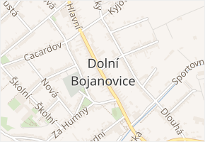 Chodníček v obci Dolní Bojanovice - mapa ulice