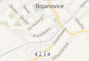 Nová v obci Dolní Bojanovice - mapa ulice