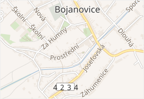 Prostřední v obci Dolní Bojanovice - mapa ulice