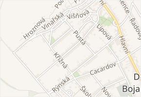 Střední Pustá v obci Dolní Bojanovice - mapa ulice