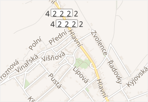 U Penzionu v obci Dolní Bojanovice - mapa ulice