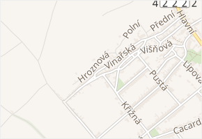 Vinařská v obci Dolní Bojanovice - mapa ulice