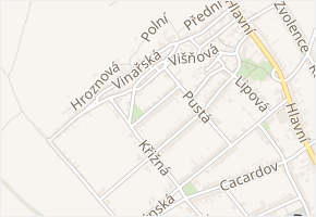 Vrchní Pustá v obci Dolní Bojanovice - mapa ulice