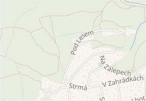 Pod Lesem v obci Dolní Břežany - mapa ulice