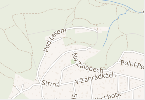 U Lesa v obci Dolní Břežany - mapa ulice