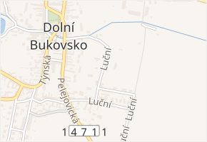 Luční v obci Dolní Bukovsko - mapa ulice
