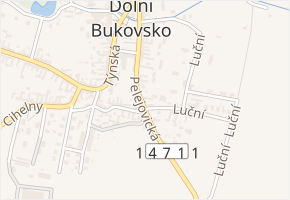 Pelejovická v obci Dolní Bukovsko - mapa ulice