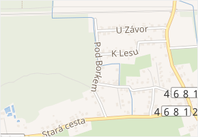 Pod Borkem v obci Dolní Lutyně - mapa ulice